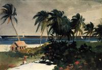 Homer, Winslow - Nassau